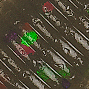 Green Pumpkin/Green Purple Flk