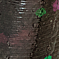 Green Pumpkin/Green,Purple Flk