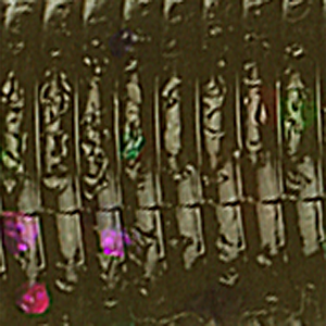 Green Pumpkin/Green Purple Flk