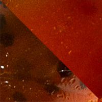 Green Pumpkin/Orange