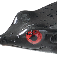 Green Pumpkin/Orange Throat