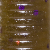 Green Pumpkin/Purple Copper Fk