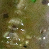 Green Pumpkin Splash