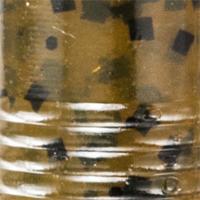 Green Pumpkin Seed
