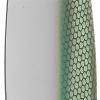 Green Shad