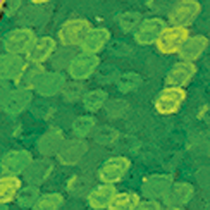 Green Sparkle/Firetiger