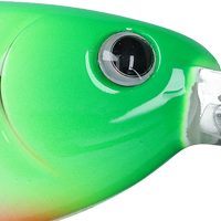 Green Tiger