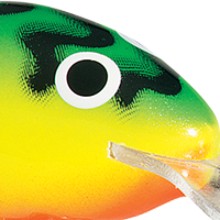 Green Tiger