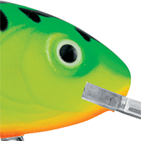 Green Tiger
