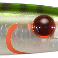 Green White Mackerel