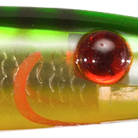 Green Yellow Gold Mackerel