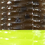 Green Pumpkin Chartreuse