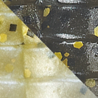 Green Pumpkn Magic Pearl Belly