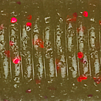 Green Pumpkin Red Flake