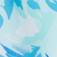 Gulf Stream