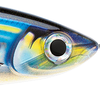HD Blue Sardine