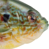 HD Pumpkinseed