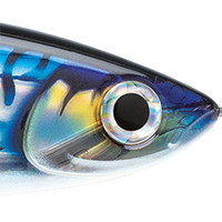 HD Silver Blue Mackerel