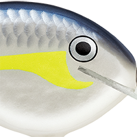 Helsinki Shad