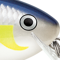 Helsinki Shad
