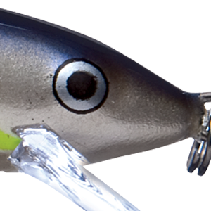 Helsinki Shad