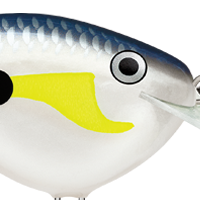 Helsinki Shad