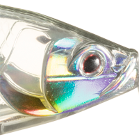 Hollow Ghost Shad