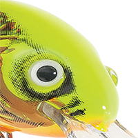 Gold Fluorescent Perch