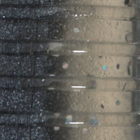 Hologram Shad