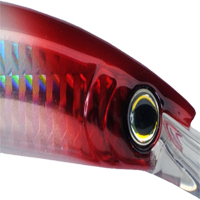 Holographic Red Head