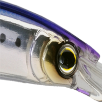 Holographic Sardine