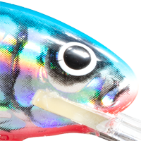 Holographic Silver Blue Shad