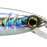 Holographic Silver Minnow