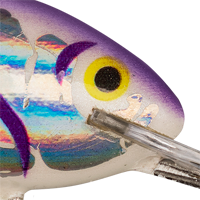 Holographic Purple Tiger