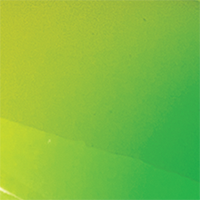 The Honeydew