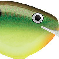 Hot Copper Green Shad