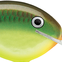 Hot Copper Green Shad