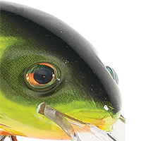 Hot Perch