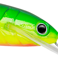 Hot Perch