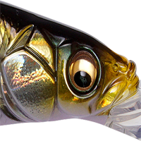 HT ITO Tennessee Shad