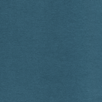 Indian Teal