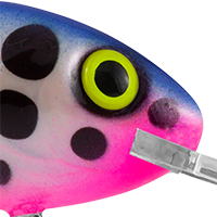 Infection