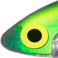 Kentucky Shad