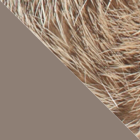 Khaki/Natural