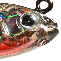 Killer Shad