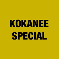 Kokanee