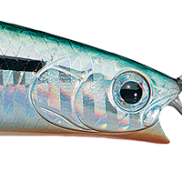 Laser Green Shiner