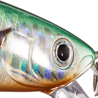 Laser Green Shiner