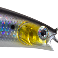 Laser Sardine