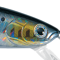 Laser Sardine